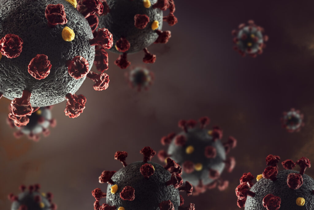 Corona Virus