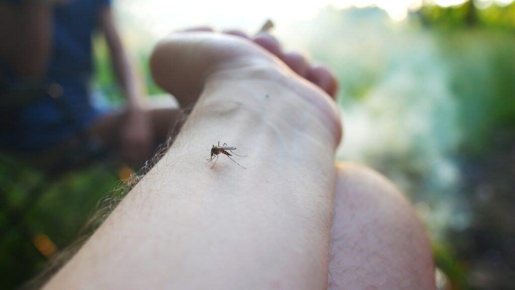 ausgestreckte Hand mit einer Malaria-Fliege