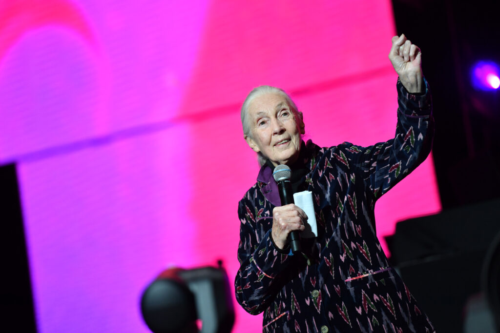 Jane Goodane