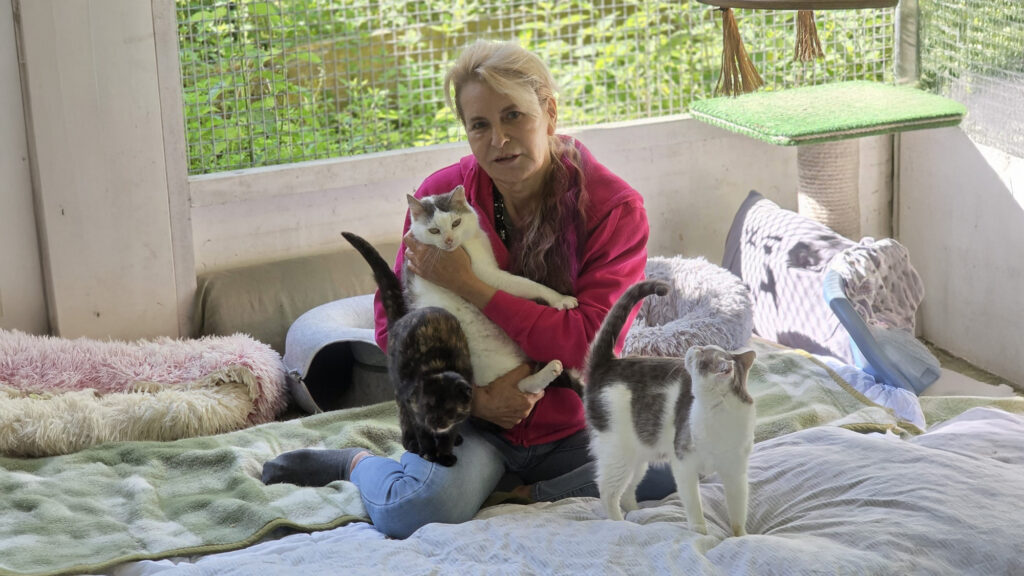 Im Schutzengeldorf finden behinderte und beeinträchtigte Katzen Schutz, medizinische Betreuung und ein liebevolles Zuhause mit besonderer Pflege.